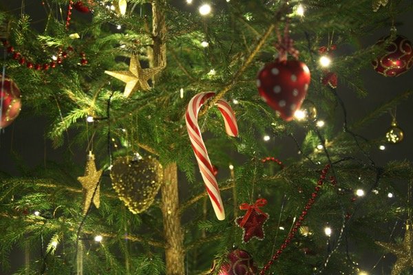 Christmas is coming