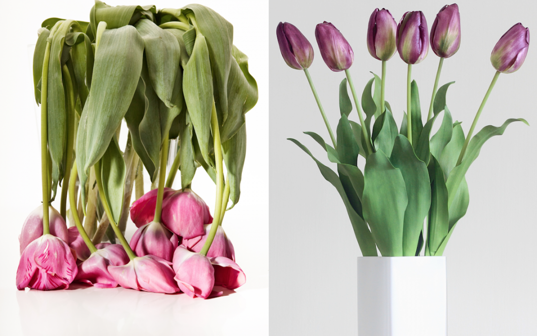 Bright, Brilliant Blooms All Summer Long