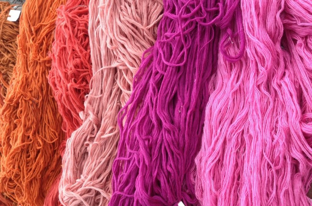 The Story of a Rug