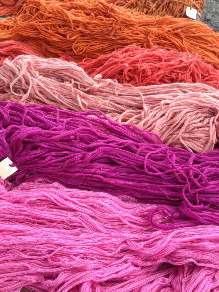 The Story of a Rug